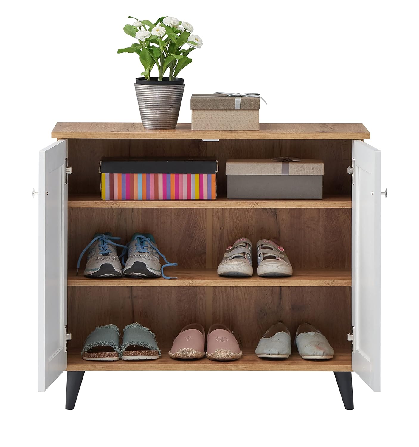 Junco 2-Door Engineered Wood Shoe Rack
