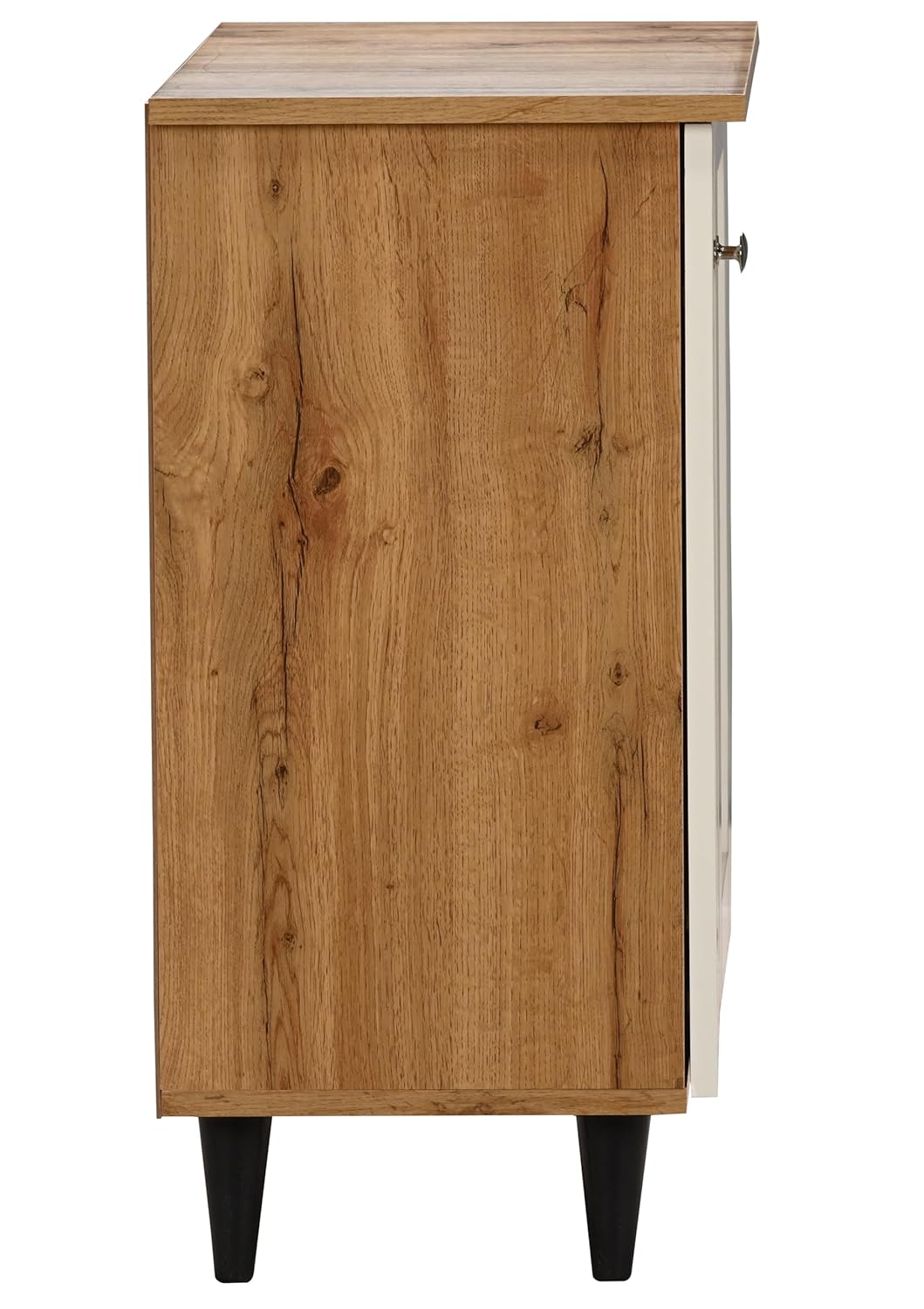 Junco 2-Door Engineered Wood Shoe Rack