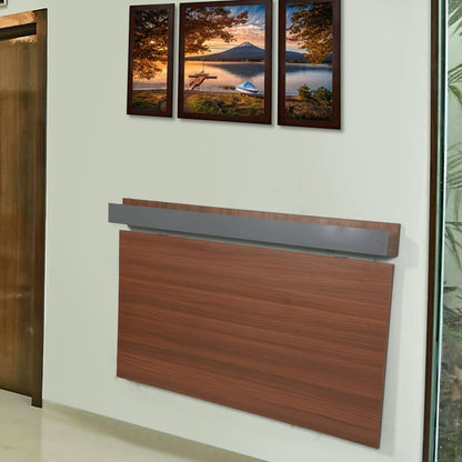 Junco Wall Mount Dining Table (Brown)